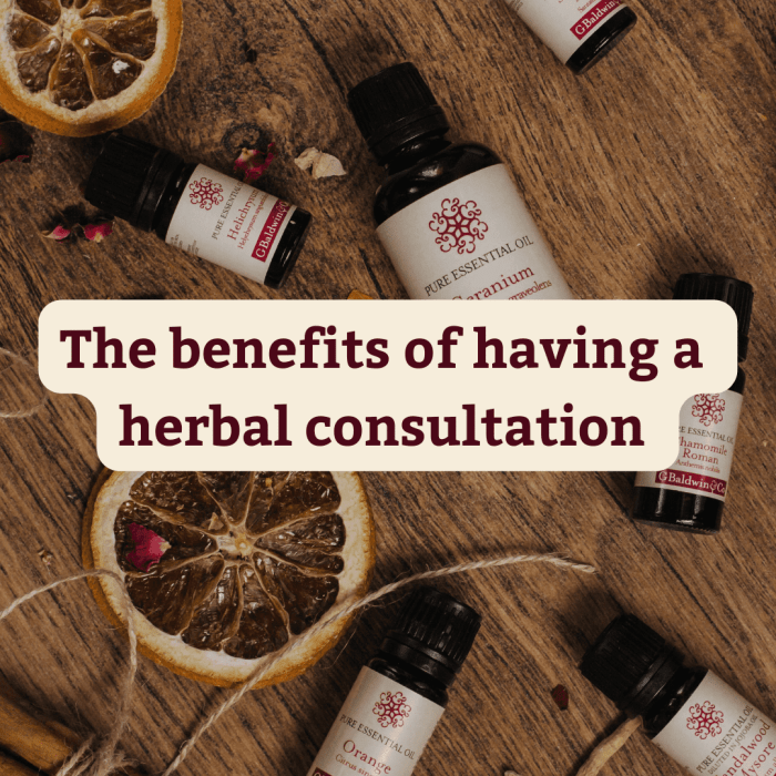 Importance of consulting a professional for herbal remedies