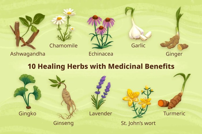 How to incorporate herbal remedies into daily routines